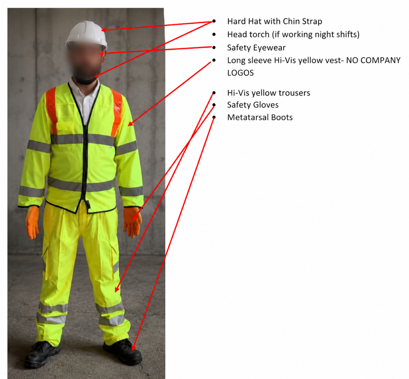 Mandatory PPE Requirements Diagram
